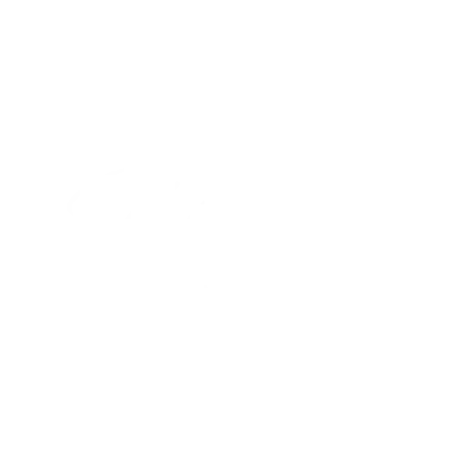Wildflower white logo